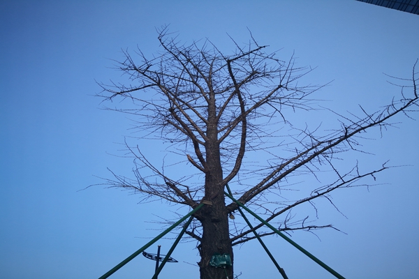 提“氣”質(zhì)丨打造2.0版本,實(shí)現(xiàn)“大數(shù)據(jù)”精準(zhǔn)治污