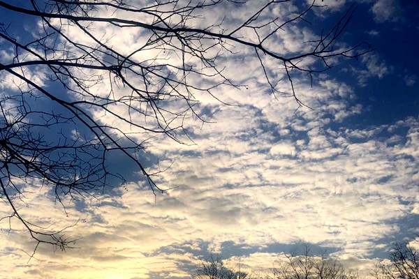 揚(yáng)州啟動廢氣整治“百日攻堅”