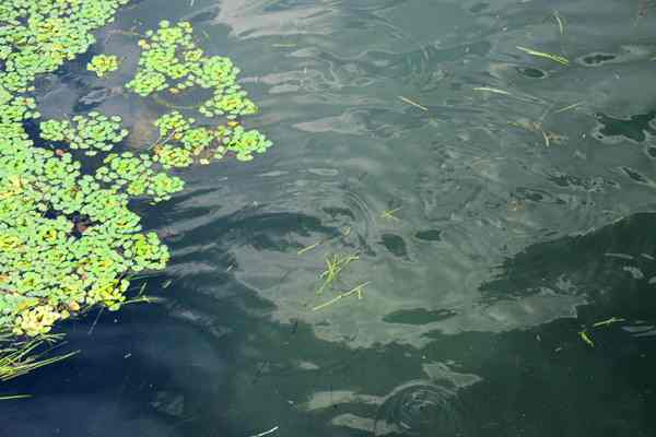 常州市召開全市污染防治攻堅推進(jìn)會