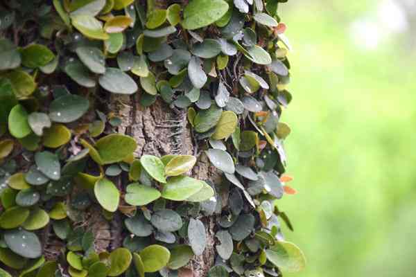 全國已建成“兩級、三類、一清單”的生態(tài)環(huán)境分區(qū)管控體系