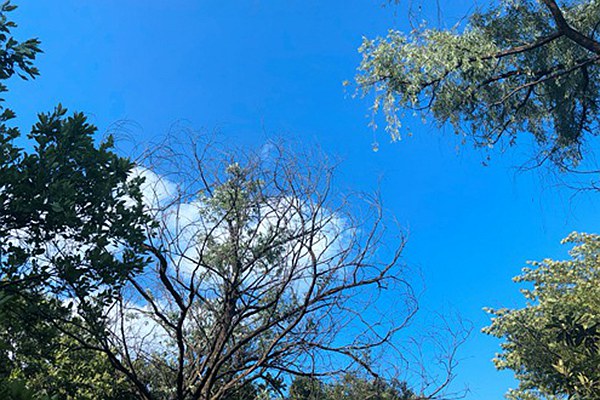 烏魯木齊道路積塵治理有妙招:動態(tài)監(jiān)測 聯(lián)合督導(dǎo),助力空氣質(zhì)量改善