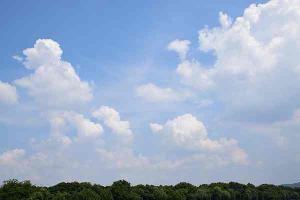 精準(zhǔn)“削峰”戰(zhàn)臭氧,全力守護(hù)“瓷都藍(lán)”