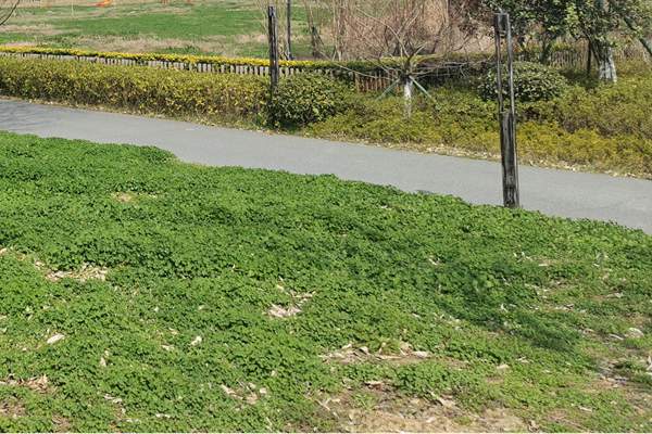 筑牢質(zhì)量“安全線”!珠海市生態(tài)環(huán)境局等四部門加強(qiáng)建設(shè)用地土壤環(huán)境聯(lián)動監(jiān)管服務(wù)